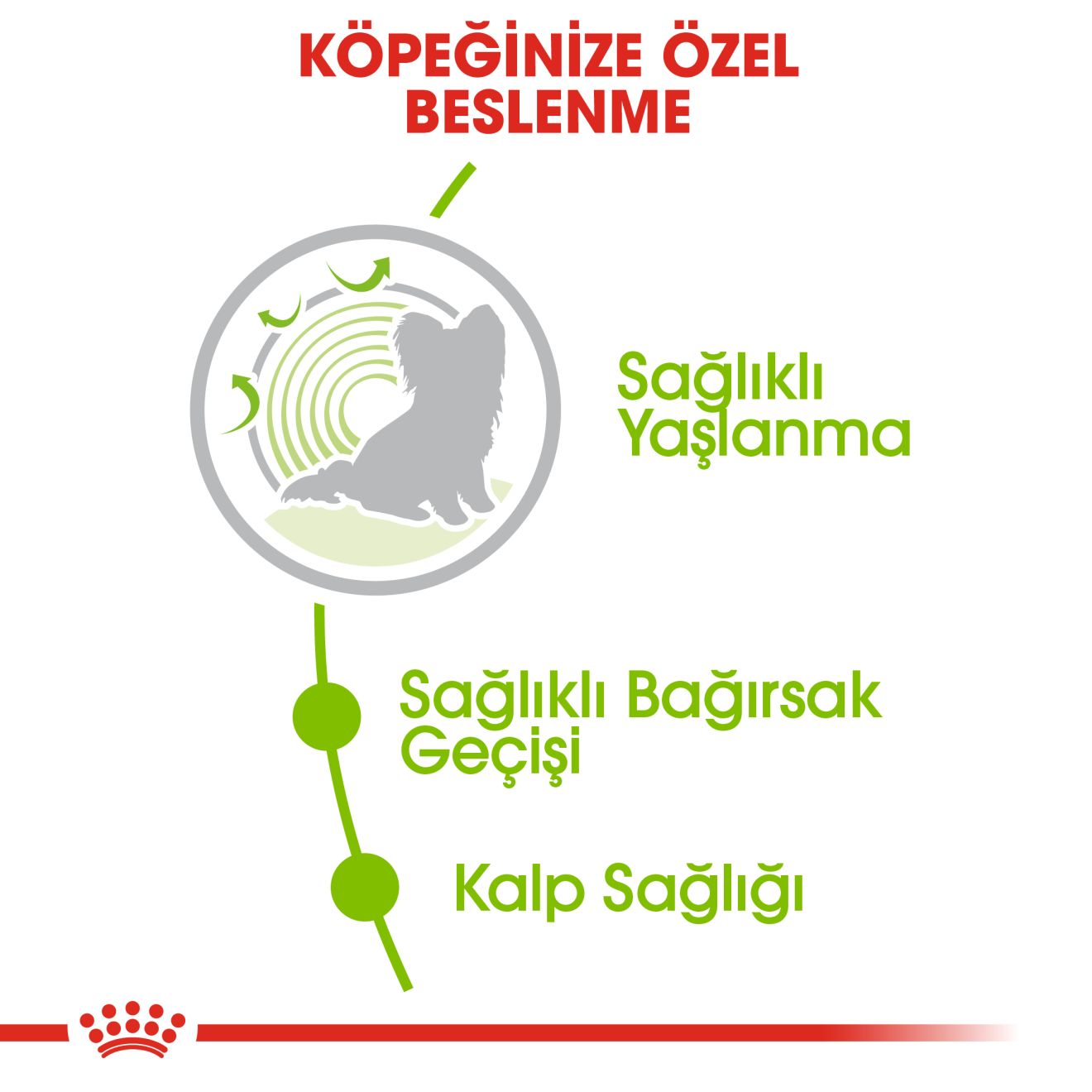 Royal Canin Xsmall Mini Köpek Maması