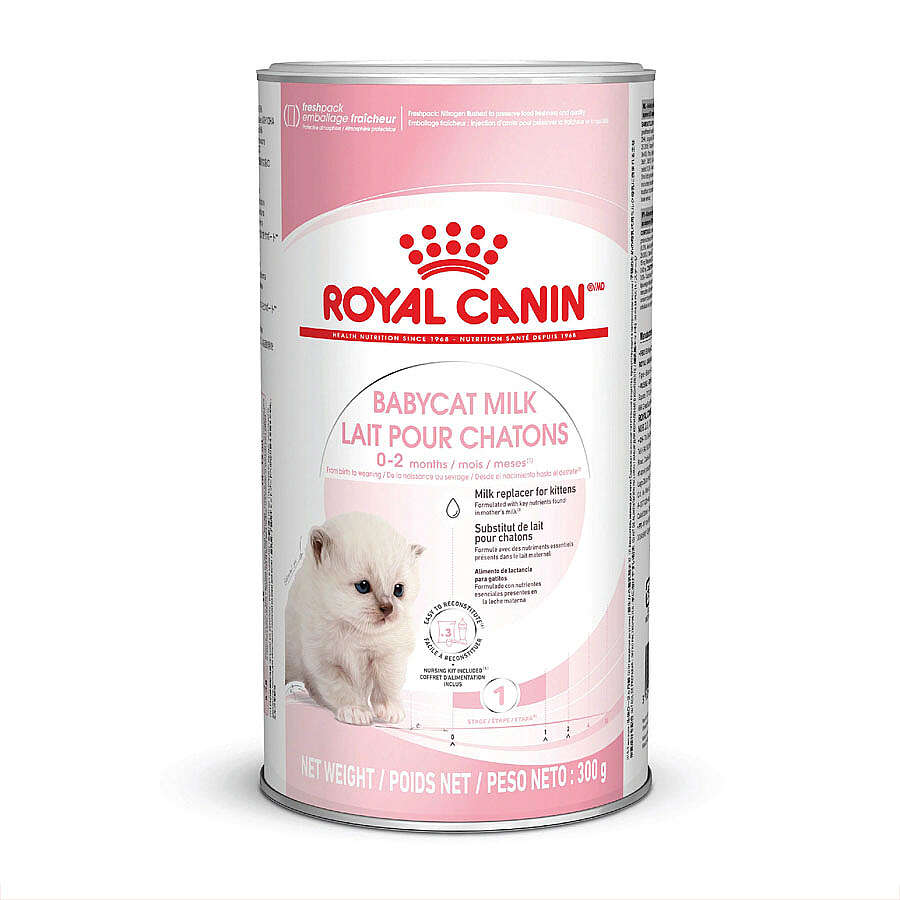 Royal Canin Babycat Milk Yavru Kedi Süt Tozu Maması, 300g