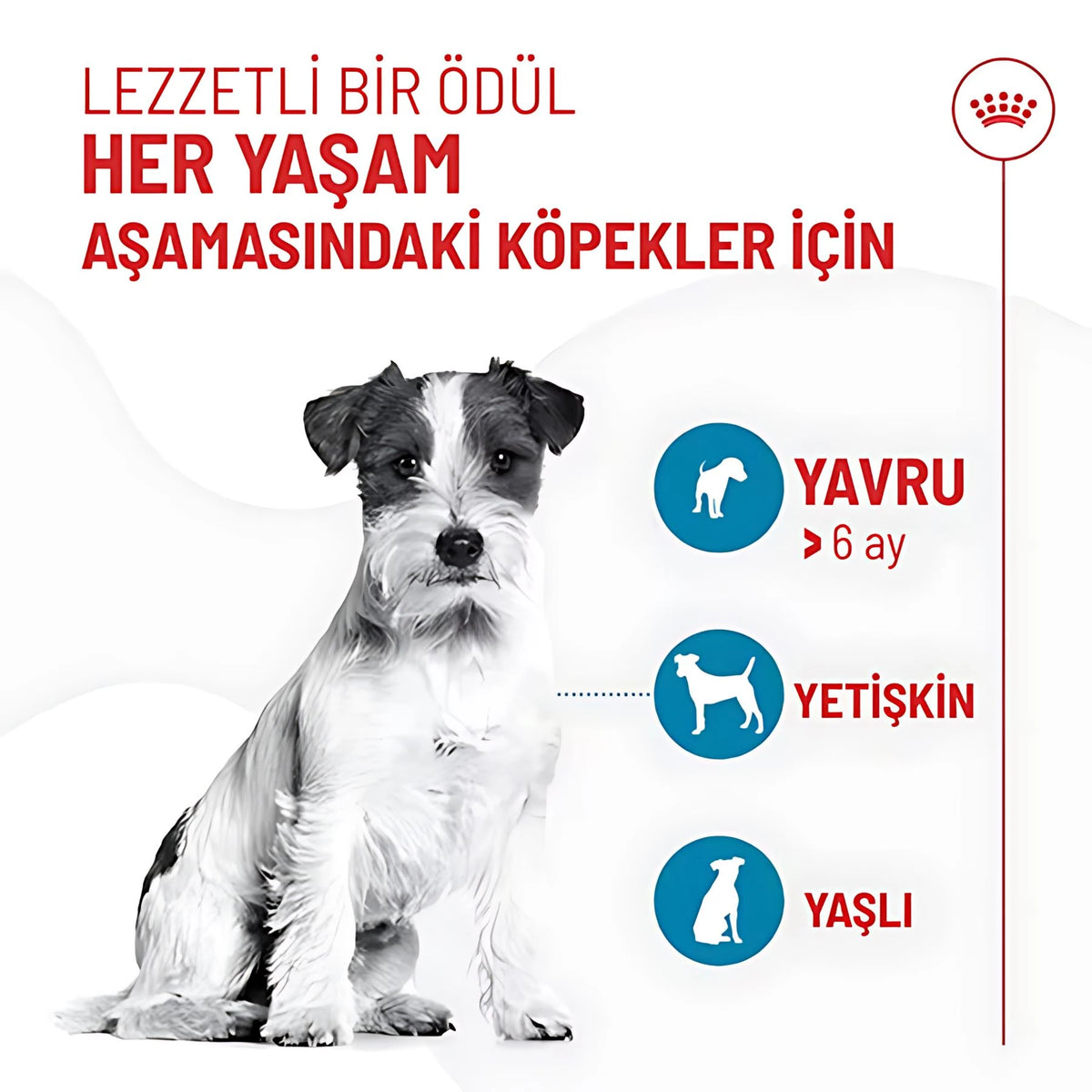 Royal Canin Eğitim Amaçlı Köpek Ödülü, 110 g