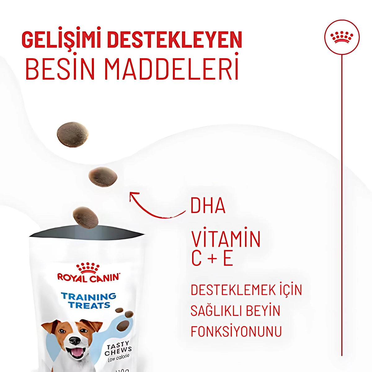 Royal Canin Eğitim Amaçlı Köpek Ödülü, 110 g