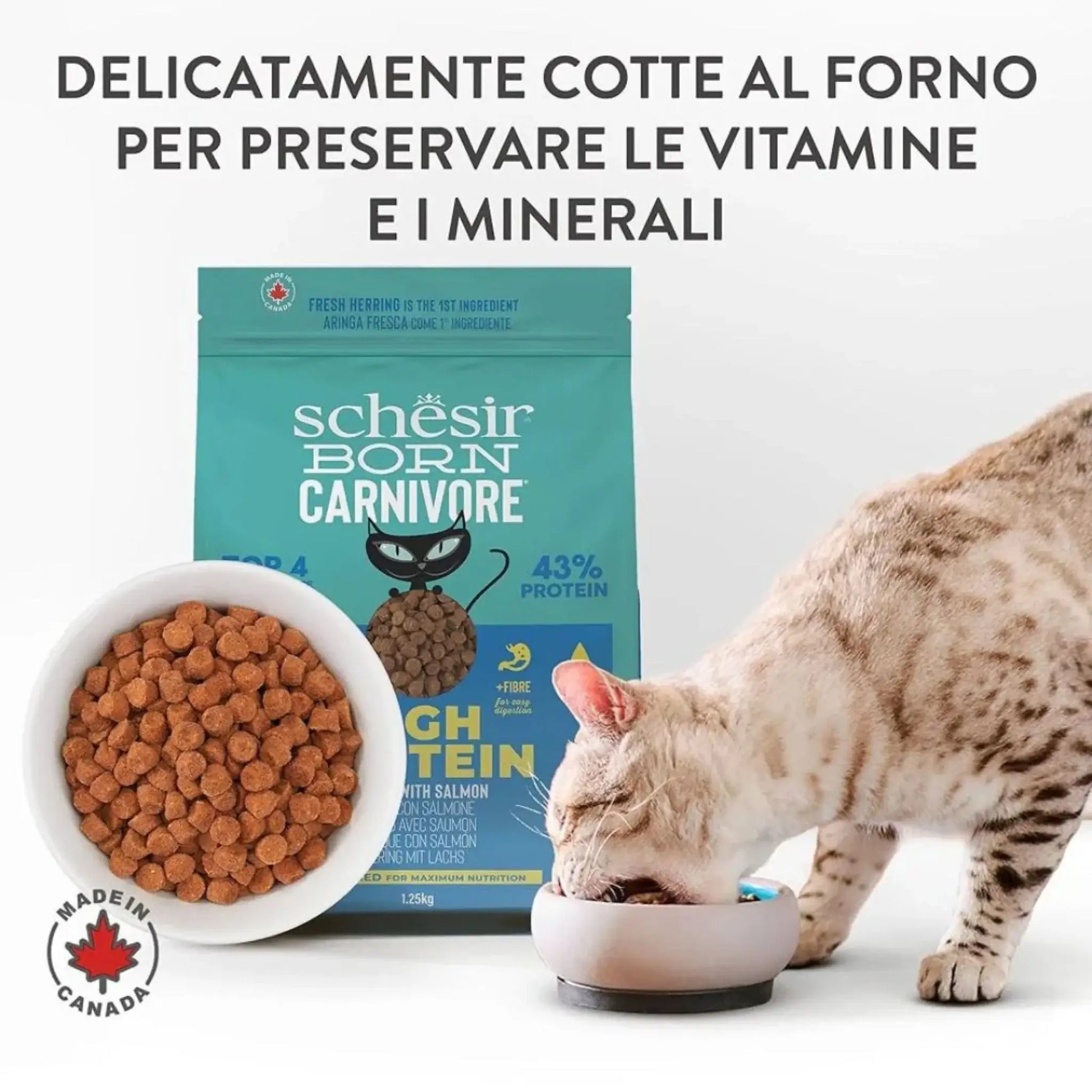 Schesir Born Carnivore Somon ve Ringa Balıklı Yetişkin Kedi Mama, 1.25kg