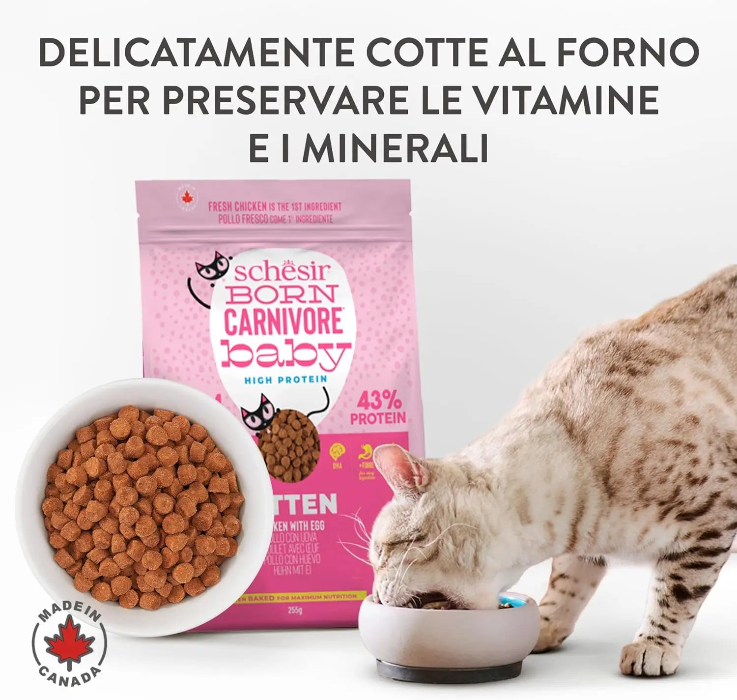 Schesir Born Carnivore Tavuk ve Yumurtalı Kitten Kedi Mama, 1.25kg