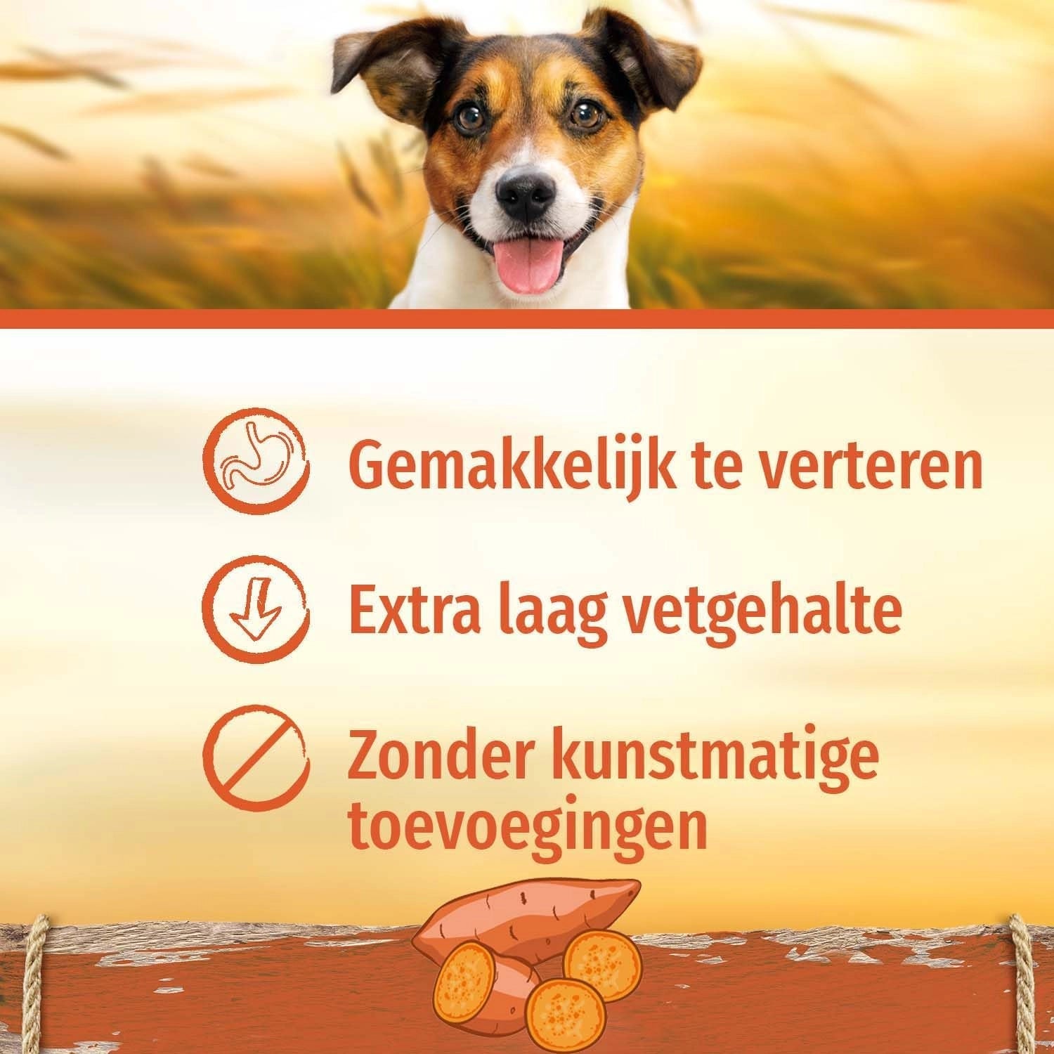 Smart Bones Chew Bone köpek ödülü 128g yakın plan ürün görüntüsü