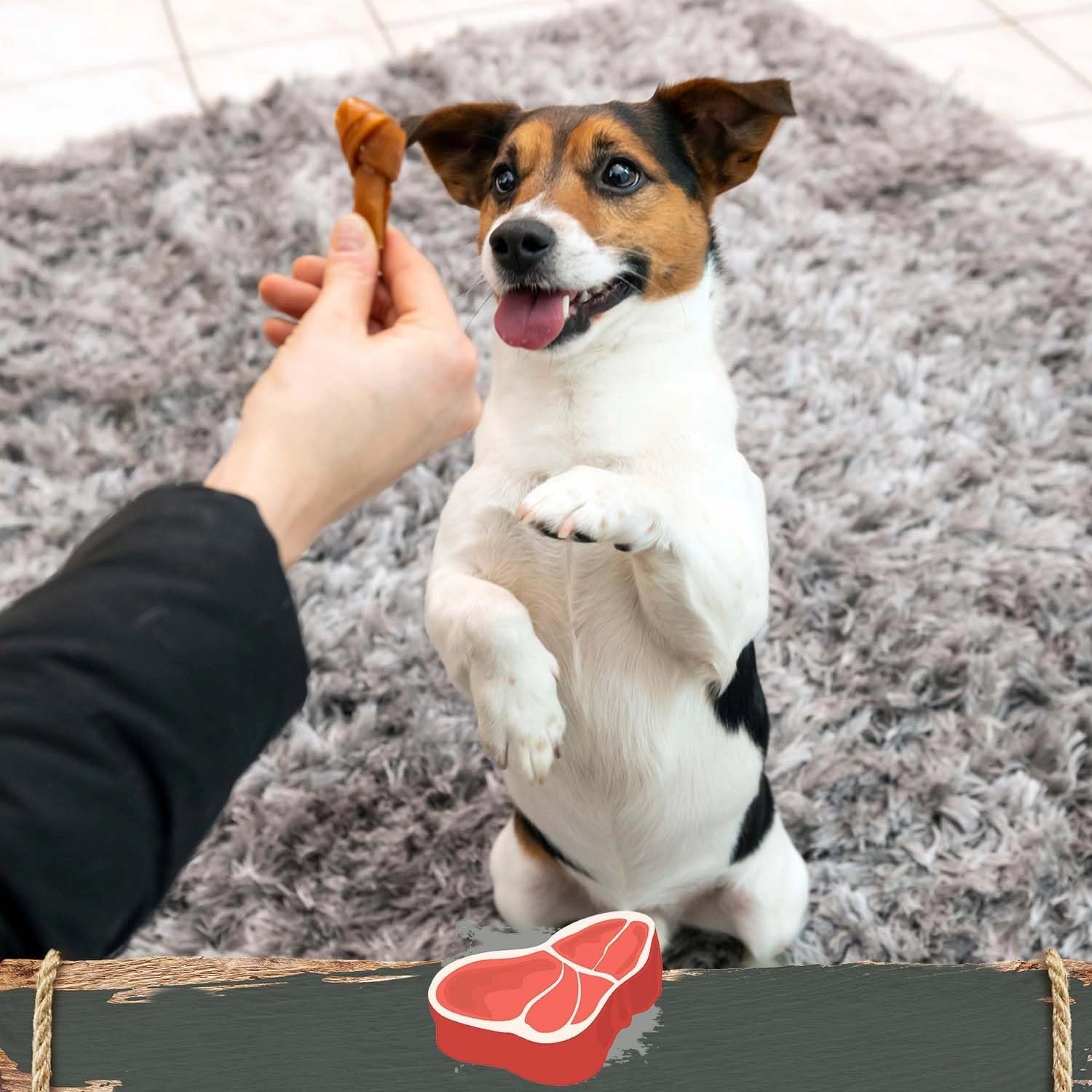 Smart Bones 8’li köpek ödül paketi biftekli çiğneme kemiği