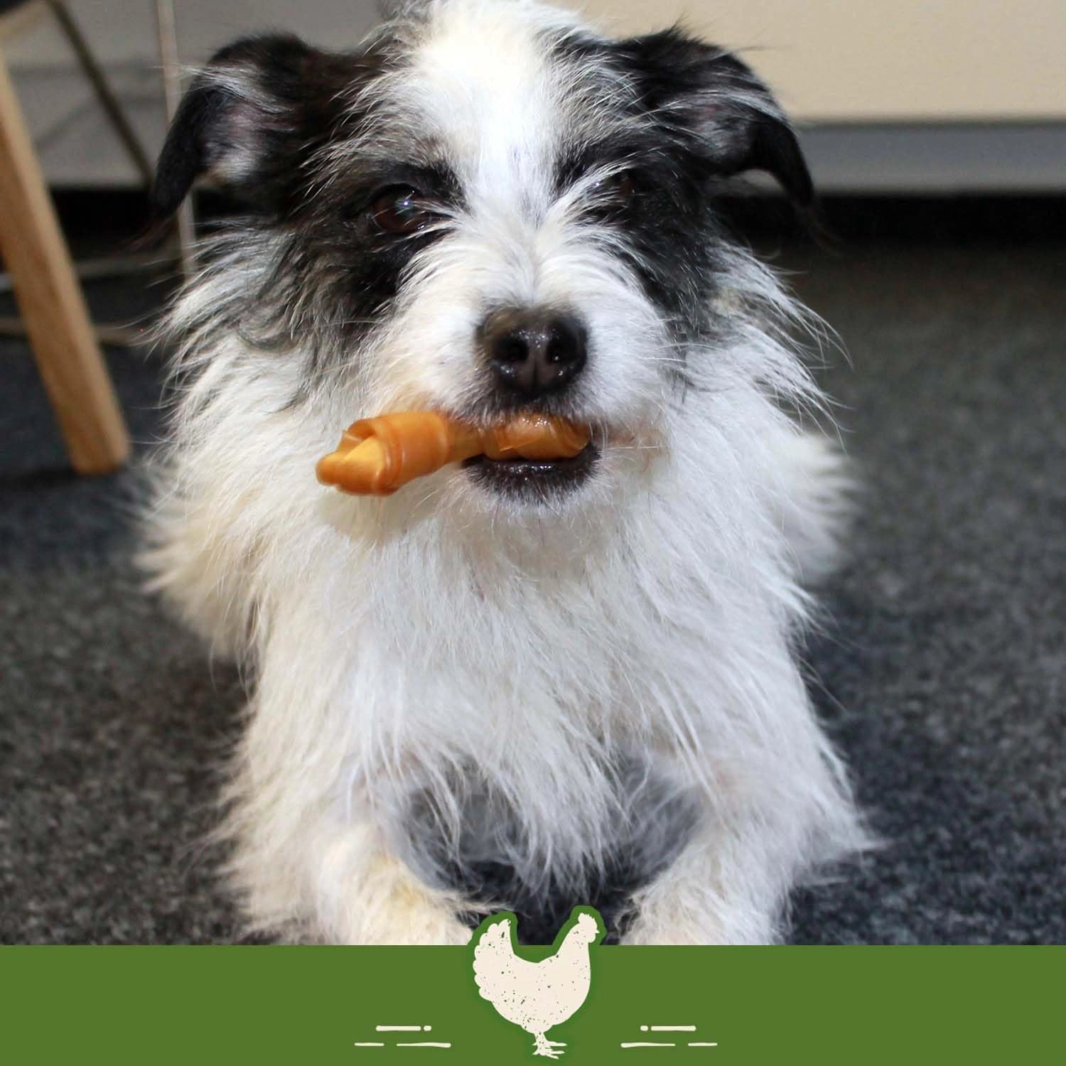 Smart Bones Chicken Bone Tavuklu Köpek Ödül 18’li Paket 288g, tavuklu köpek ödül kemiği