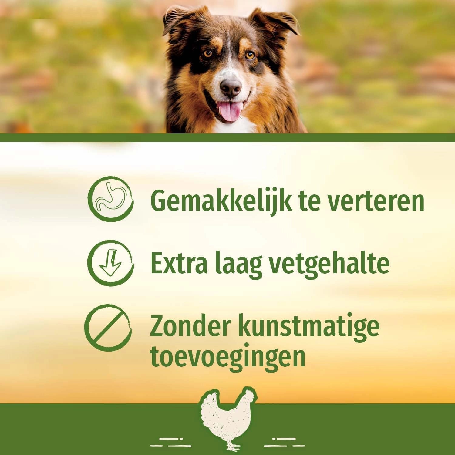 Smart Bones 9’lu köpek ödül paketi günlük kullanım için