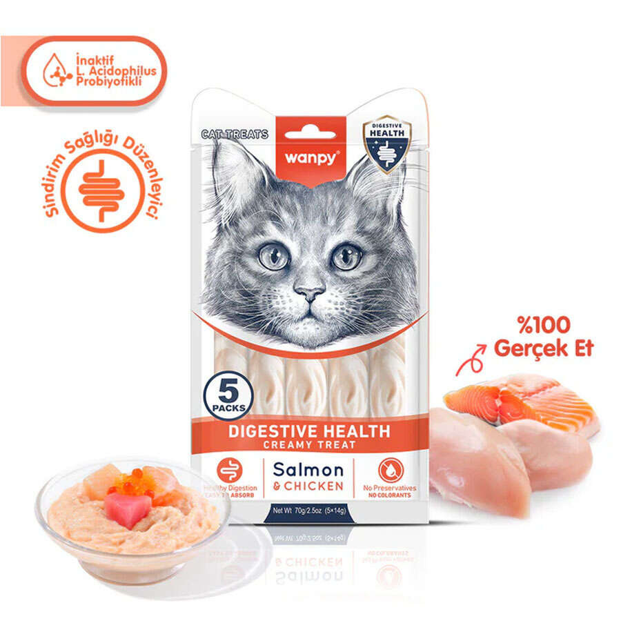 Wanpy Sindirim Sistemi Sağlığı Somon ve Tavuklu Kedi Krema Ödül, 5 li Paket, 14g