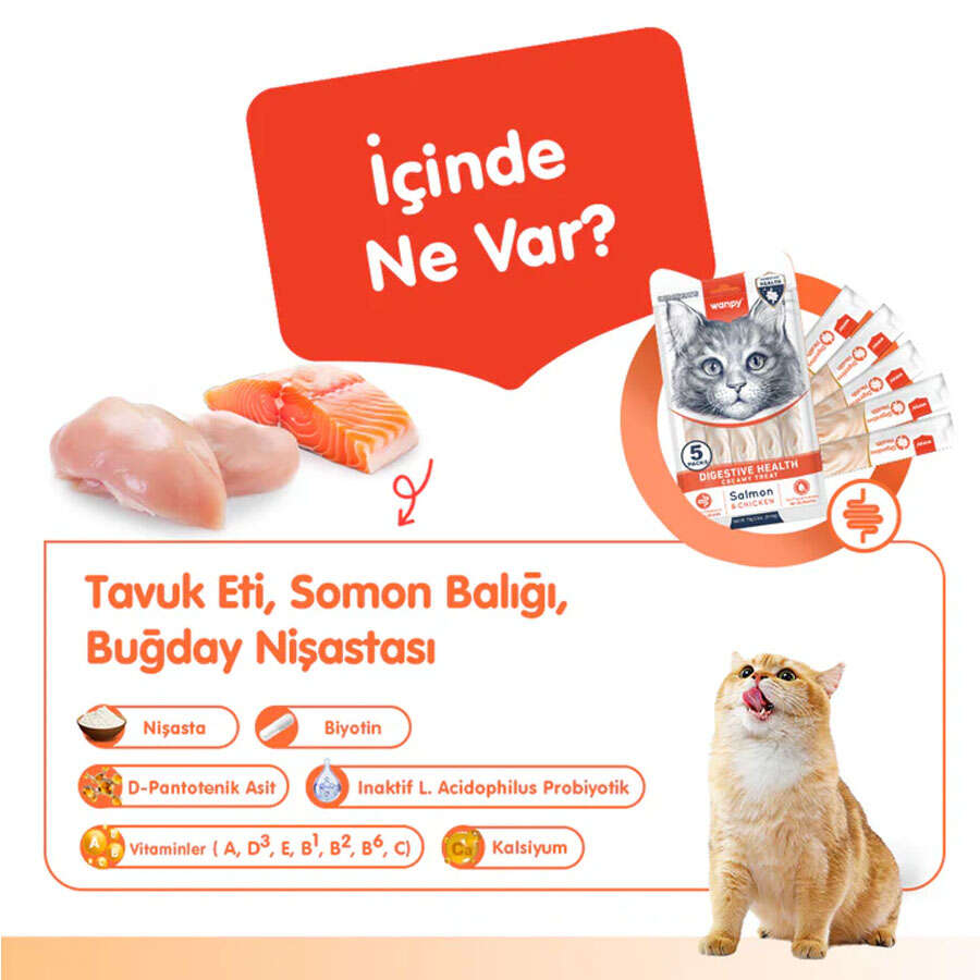 Wanpy Digestive Health Somon ve Tavuklu Kedi Likit Ödül, 5 li Paket, 14g