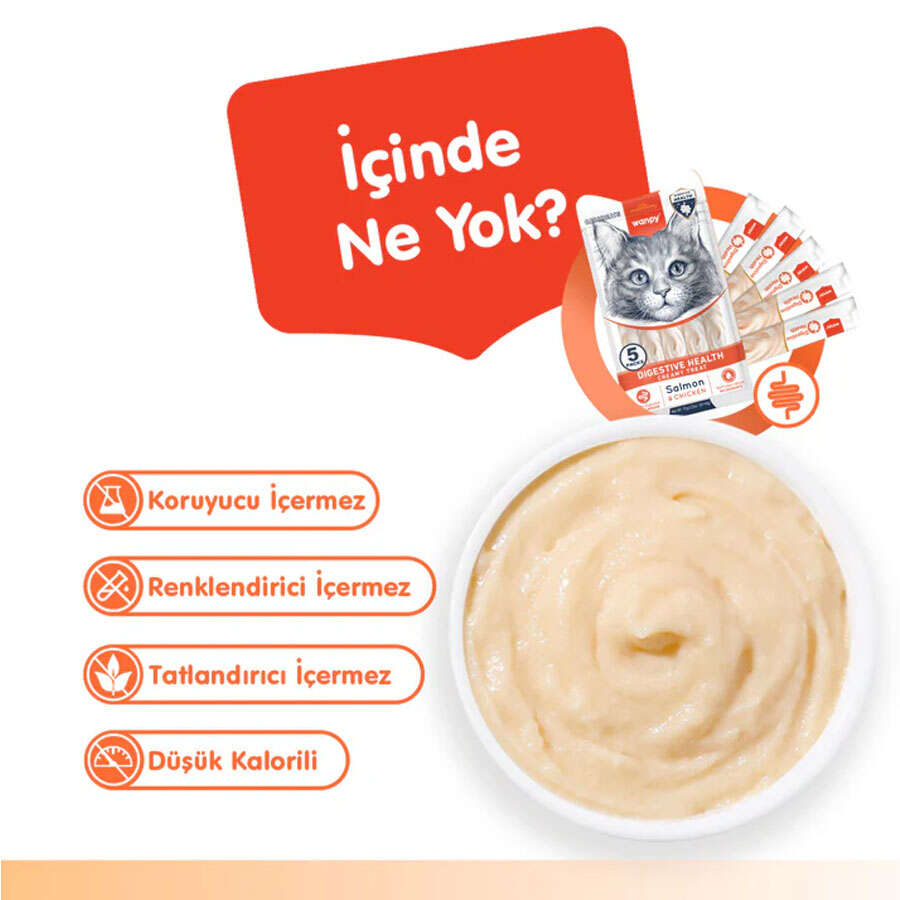 Wanpy Digestive Health Somon ve Tavuklu Kedi Krema Doğal Ödül, 5 li Paket, 14g