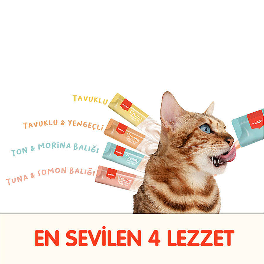 Wanpy Likit Treat Karışık 4 lezzetli Kedi Krema Ödül, 100 lü Paket, 14g