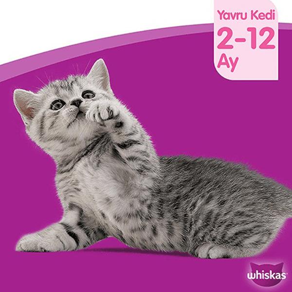 Whiskas Poach Kümes Hayvanlı Yavru Kedi Yaş Mama 85g, yavru kedi yaş mama