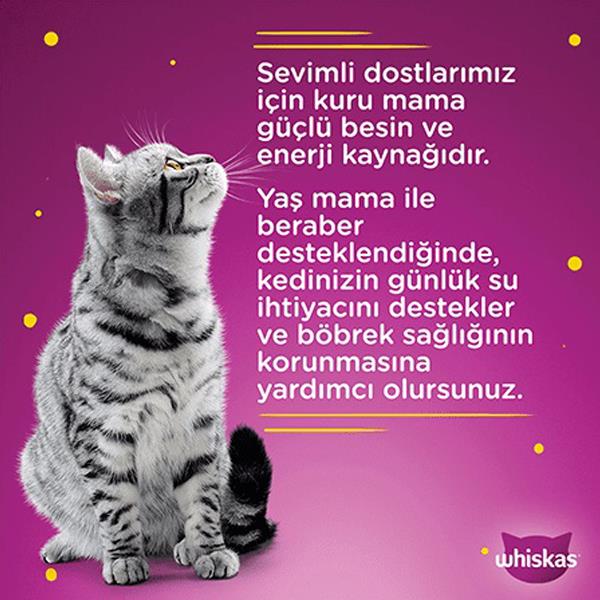 Kümes hayvanlı yavru kedi yaş mama Whiskas 85g