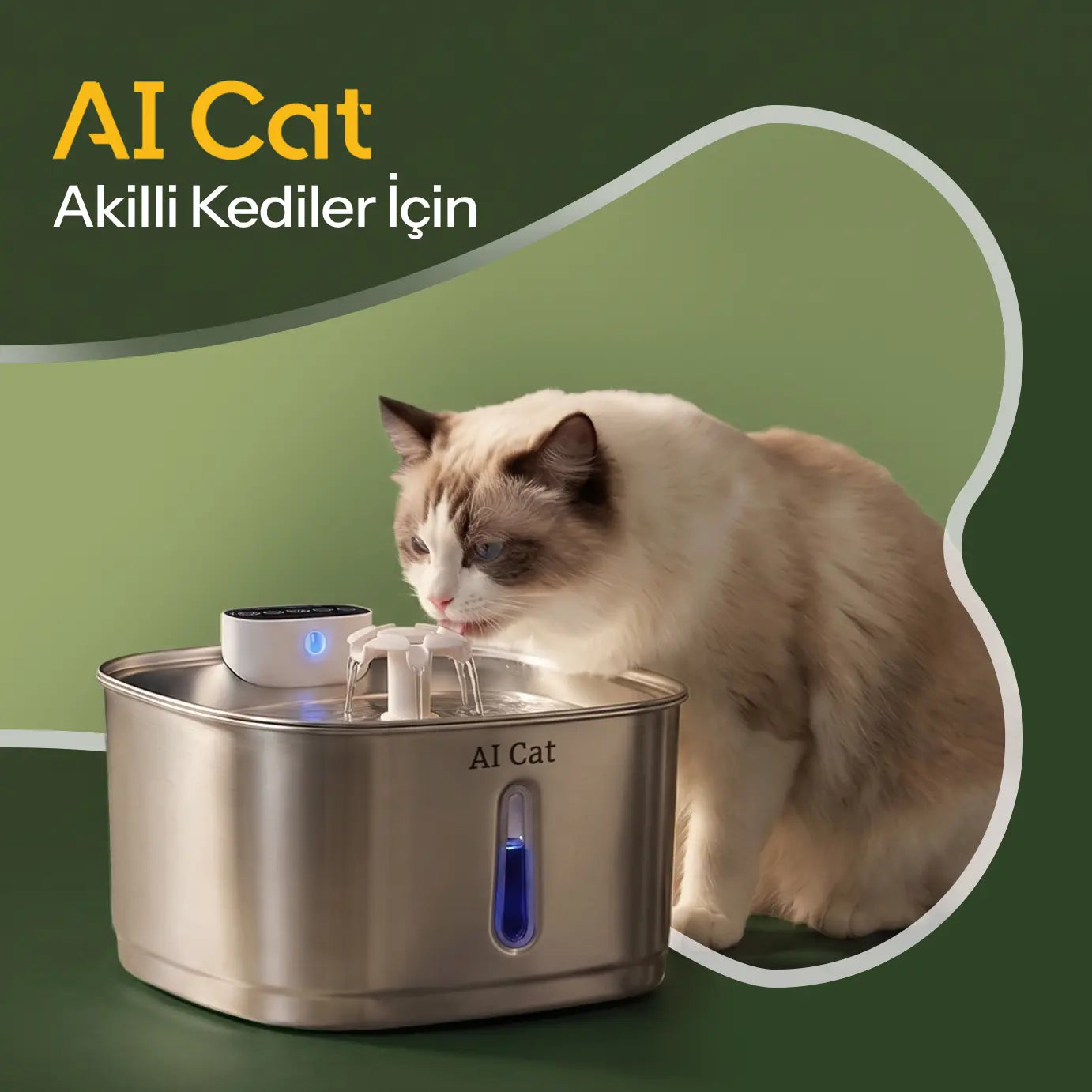 Catz & Dogz | Premium Pet Shop ve Online Pet Market