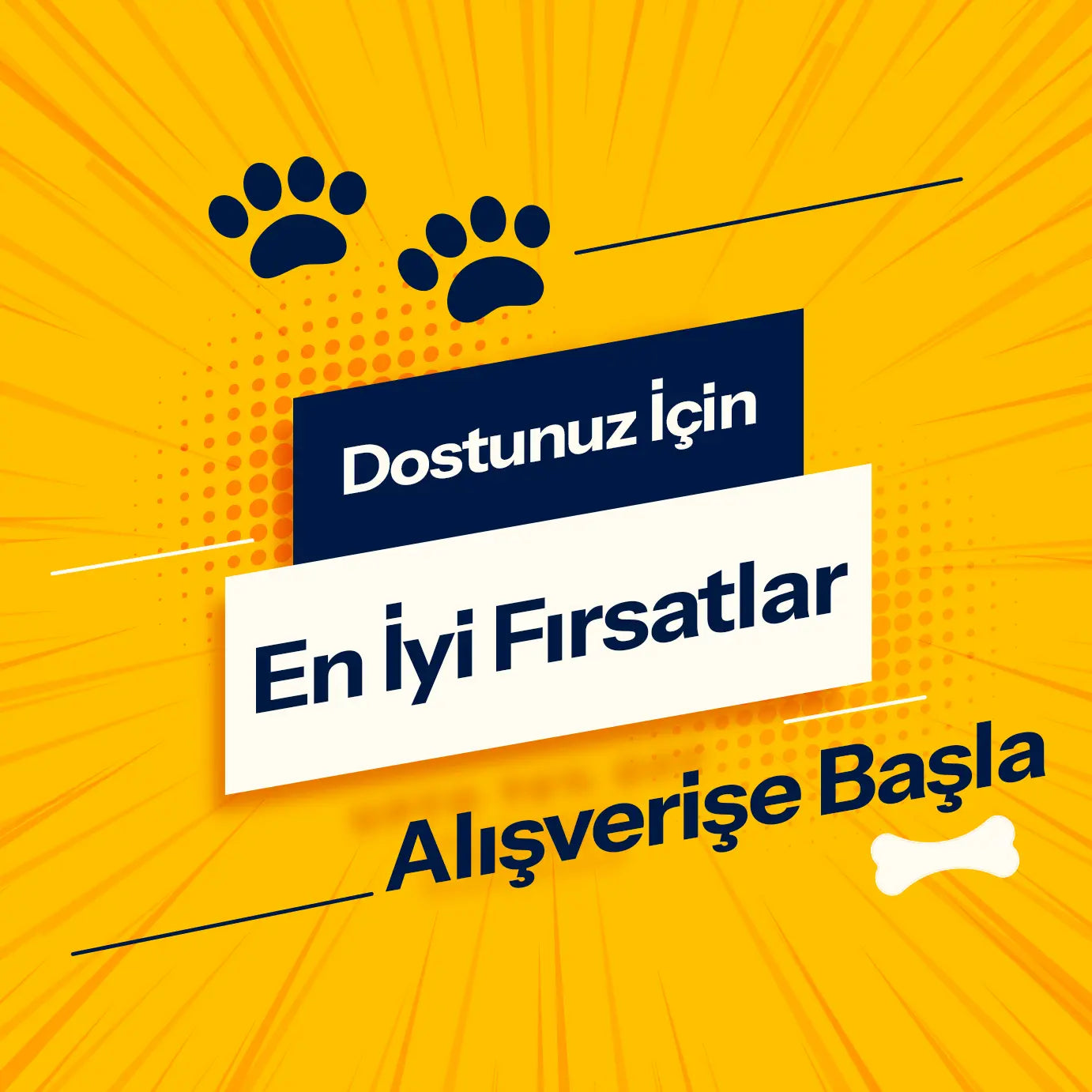 Catz & Dogz | Premium Pet Shop ve Online Pet Market