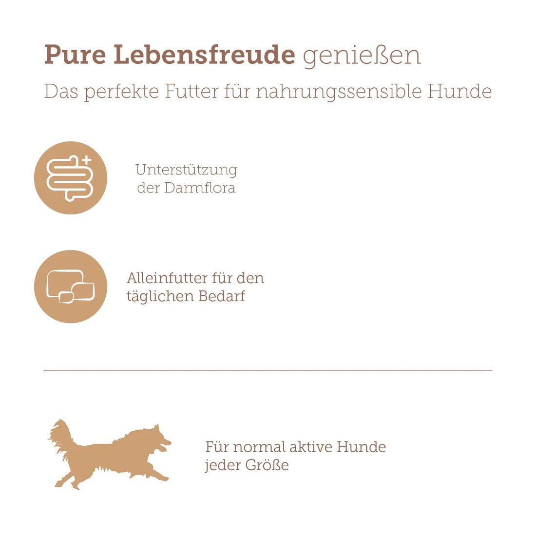 Mera Pure Sensitive Yetişkin Köpek Konserve Maması, 400g
