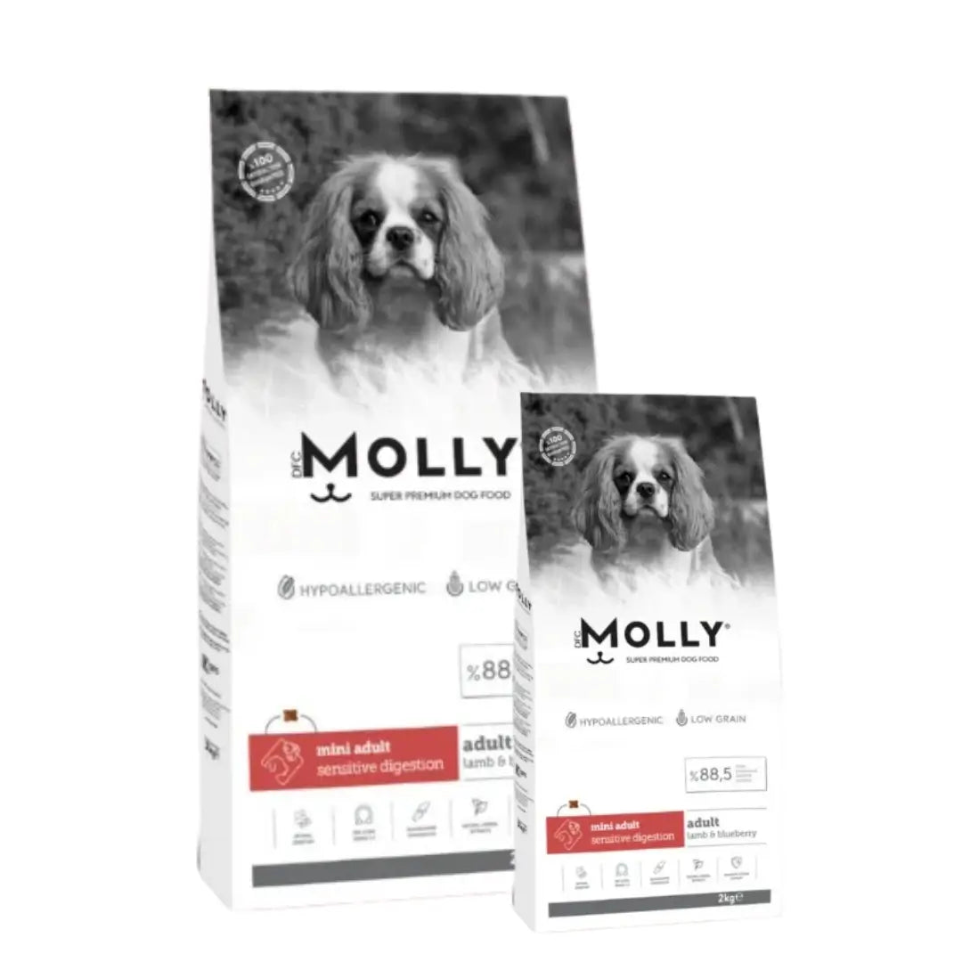 Molly Mini Irk Kuzulu ve Yaban Mersinli Yetişkin Köpek Maması
