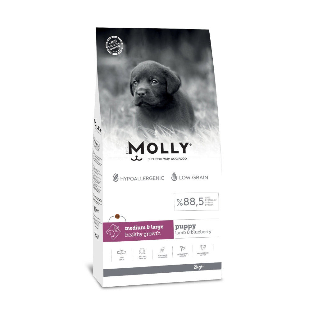 Molly Kuzulu ve Yaban Mersinli Orta Irk ve Büyük Irk Yavru Köpek Maması
