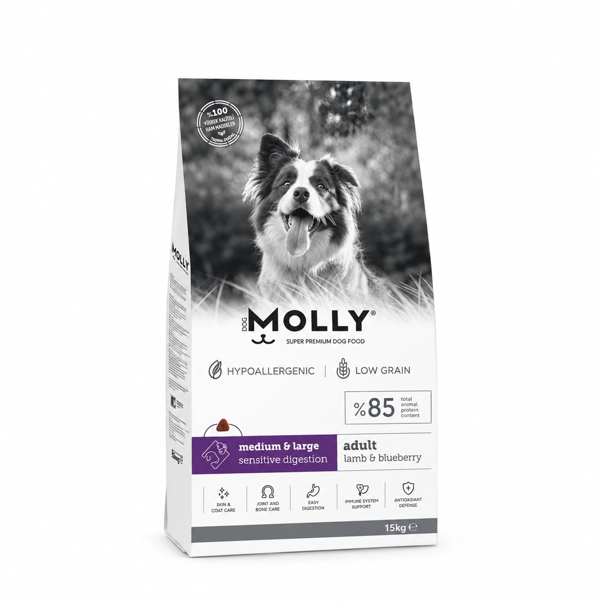 Molly Kuzulu ve Yaban Mersinli Orta Irk ve Büyük Irk Yetişkin Köpek Maması