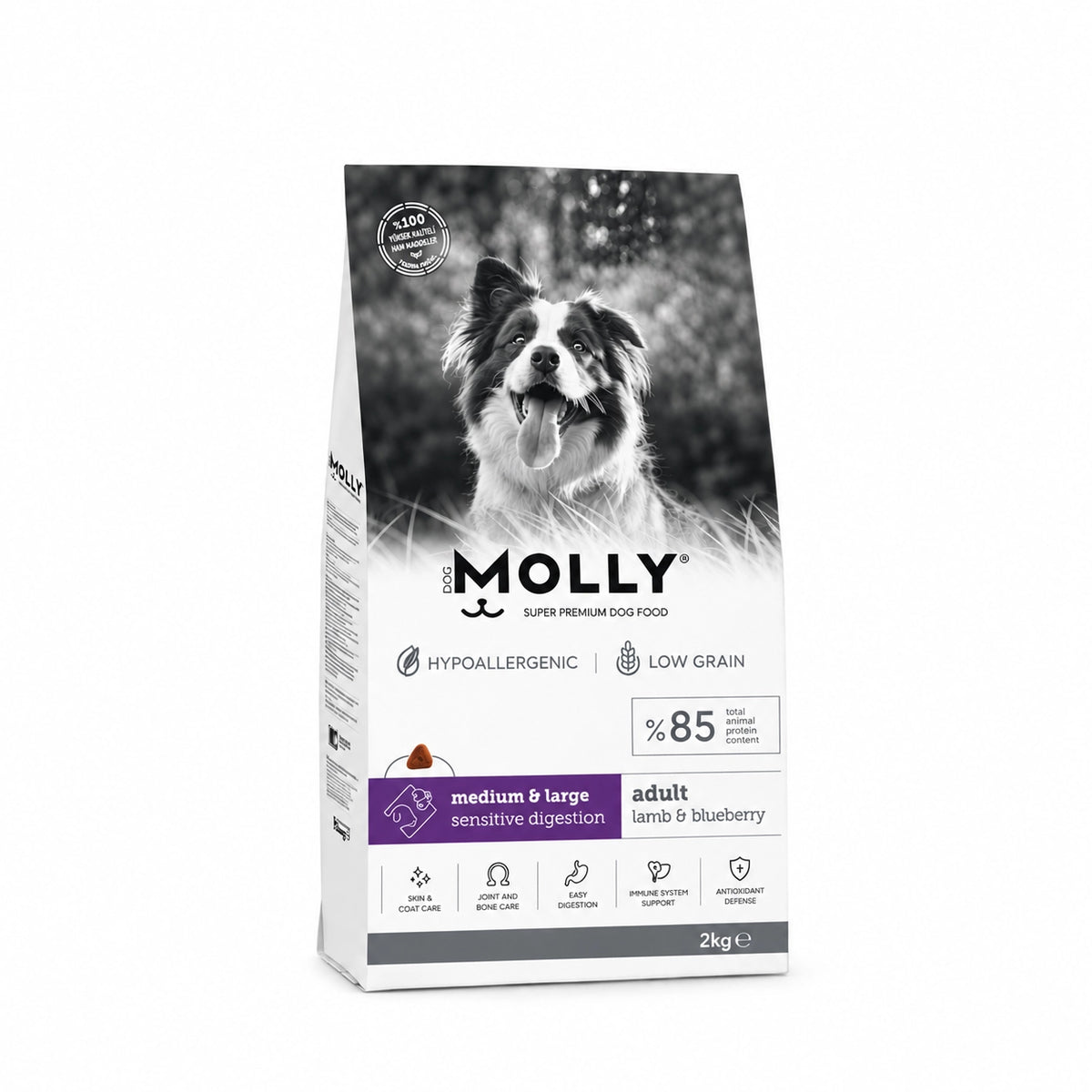 Molly Kuzulu ve Yaban Mersinli Orta Irk ve Büyük Irk Yetişkin Köpek Maması