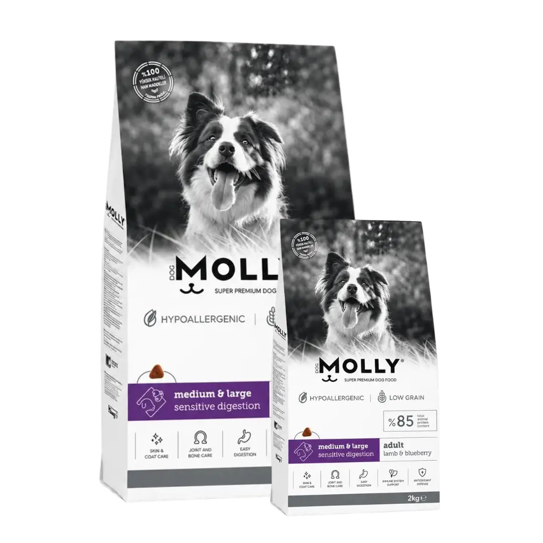 Molly Kuzulu ve Yaban Mersinli Orta Irk ve Büyük Irk Yetişkin Köpek Maması