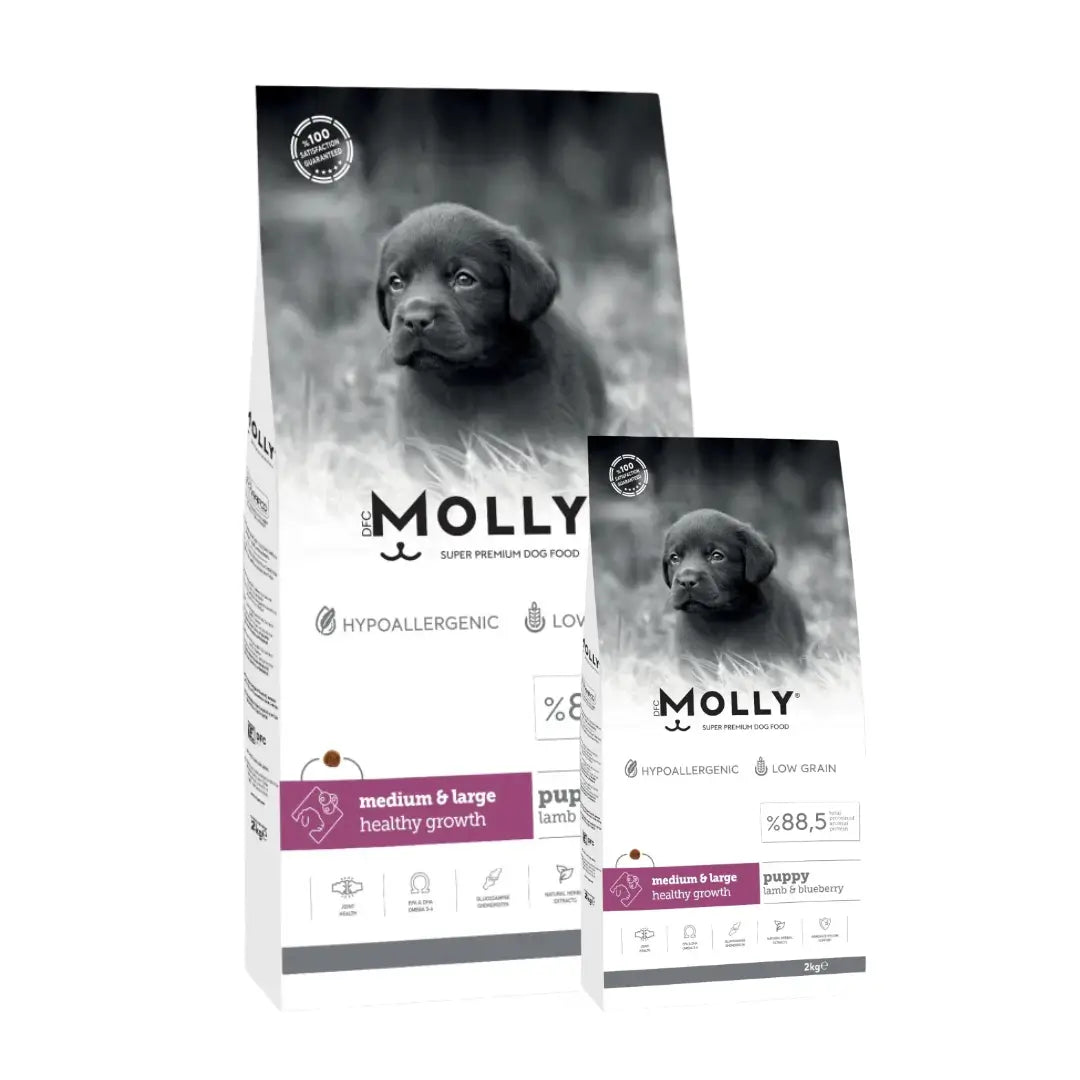 Molly Kuzulu ve Yaban Mersinli Orta Irk ve Büyük Irk Yavru Köpek Maması