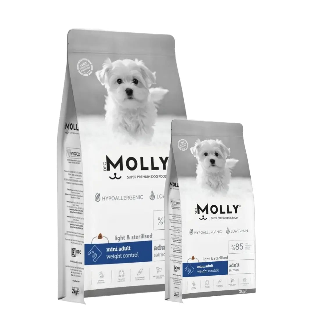 Molly Mini Irk Kısırlaştırılmış Somonlu Yetişkin Köpek Maması