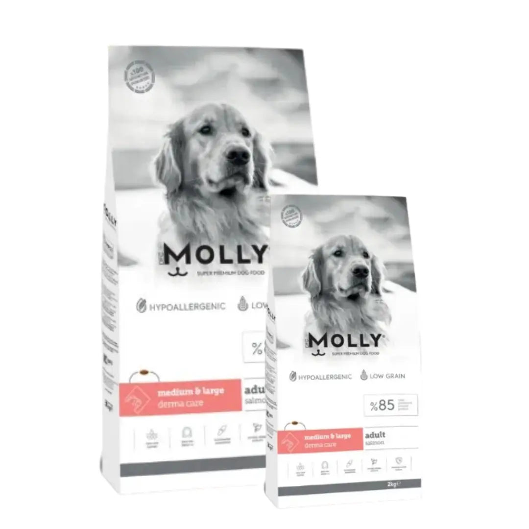 Molly Somonlu Orta Irk ve Büyük Irk Yetişkin Köpek Maması