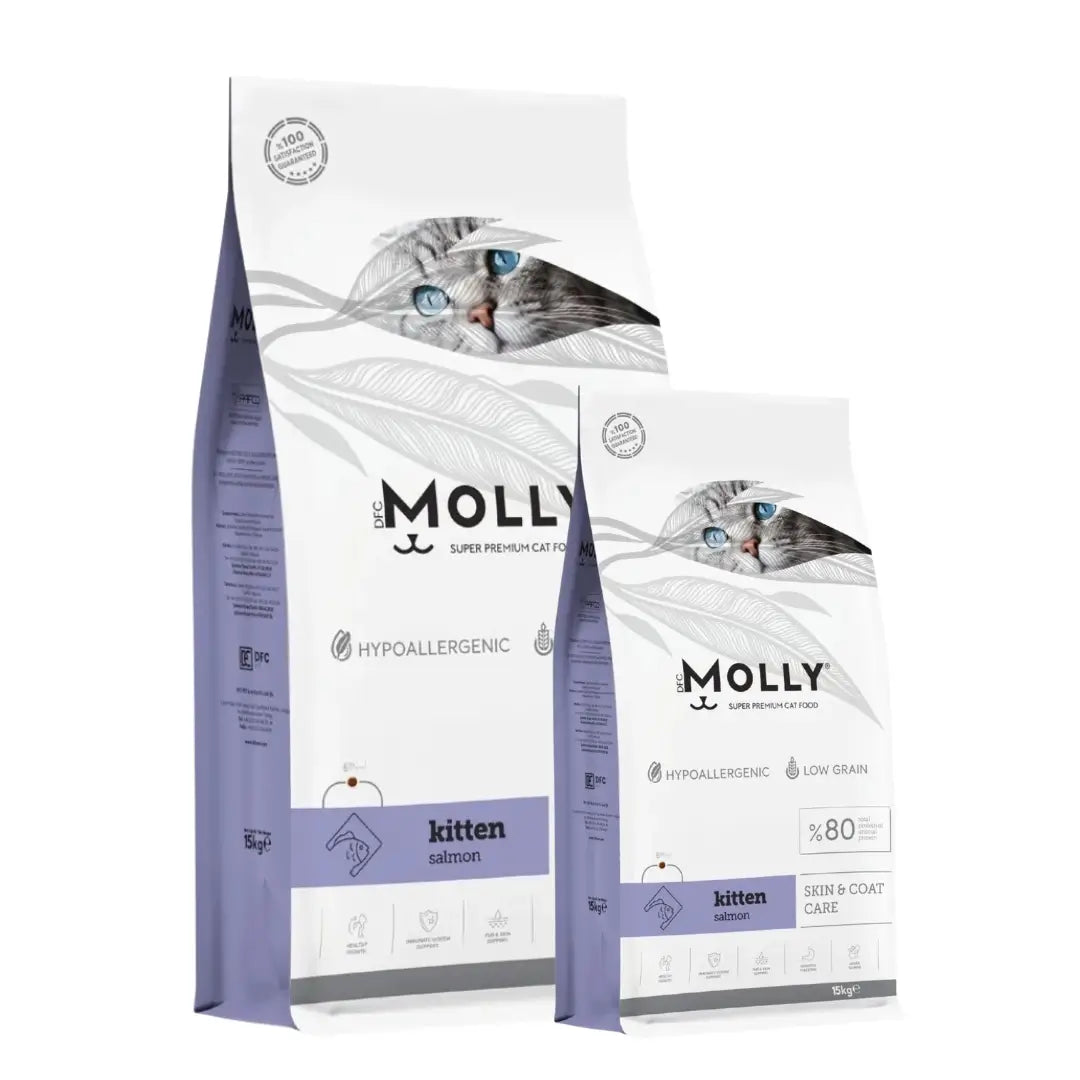 Molly Somonlu Yavru Kedi Maması
