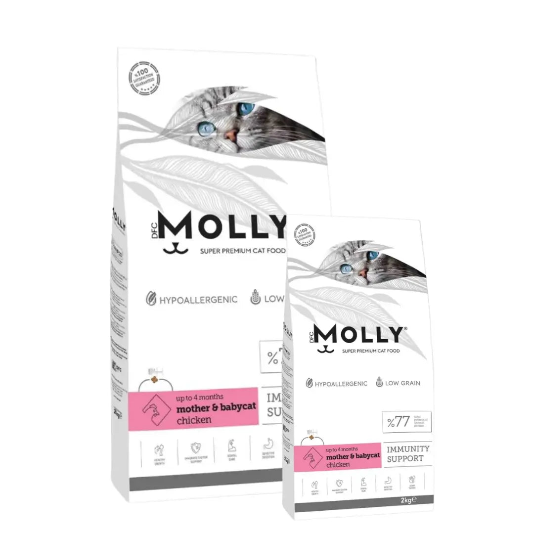 Molly Tavuklu Anne ve Yavru Kedi Maması