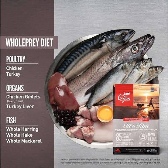 Orijen Fit & Trim Kilo Kontrolü Tahılsız Köpek Maması, 11,4 kg