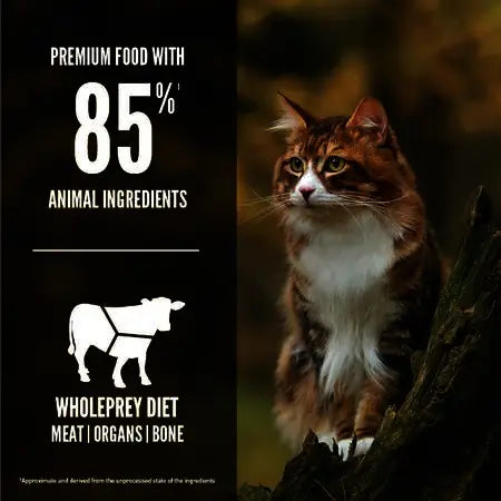 Orijen Regional Red Tahılsız Yetişkin Kedi Maması
