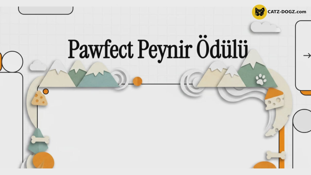 Videoyu yükle: 