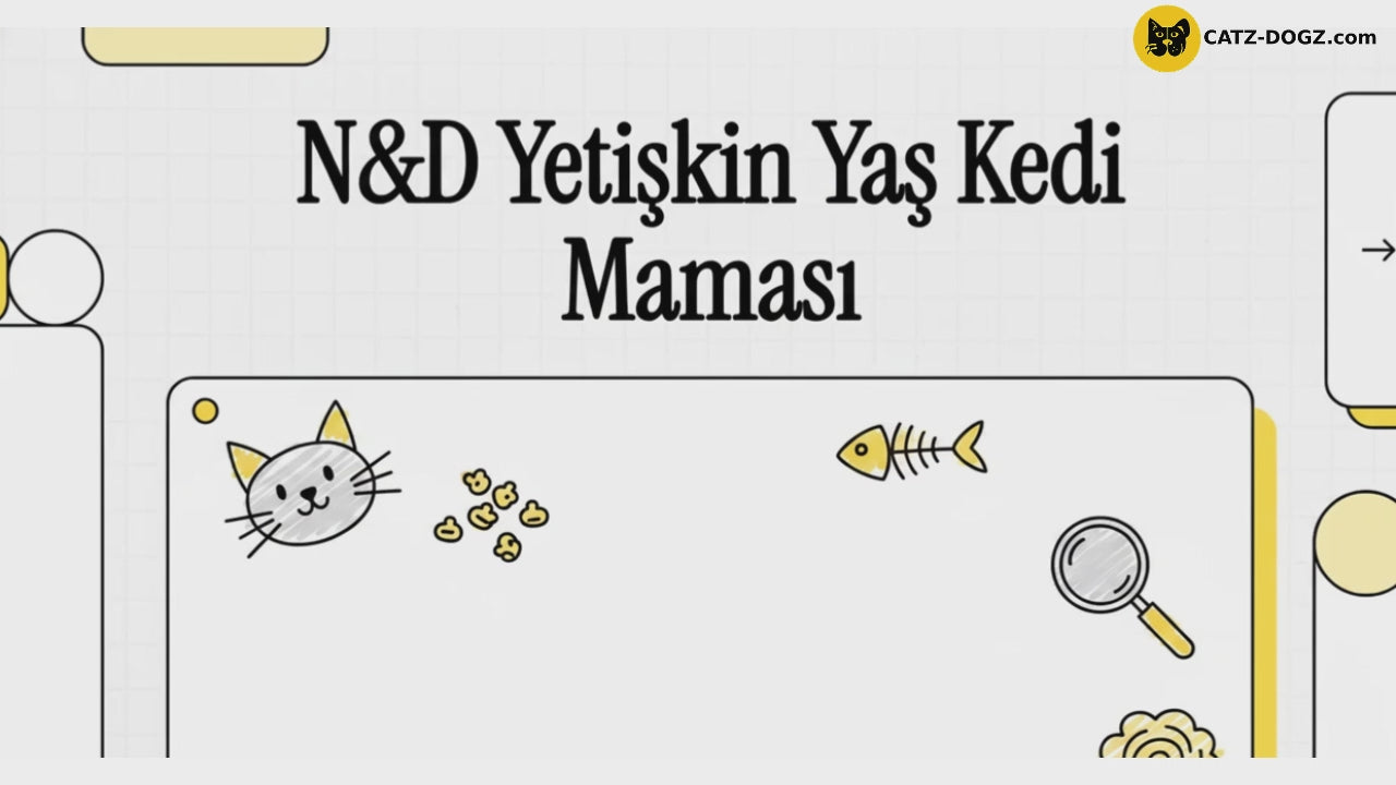 Videoyu yükle: 