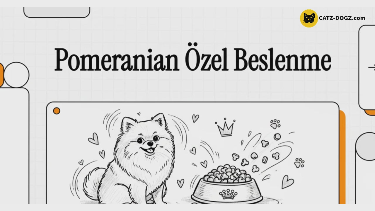 Videoyu yükle: 