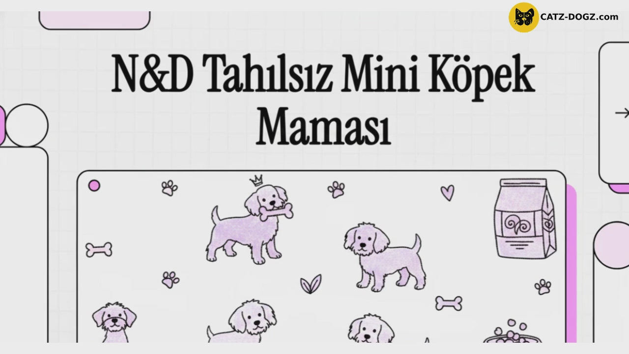 Videoyu yükle: 