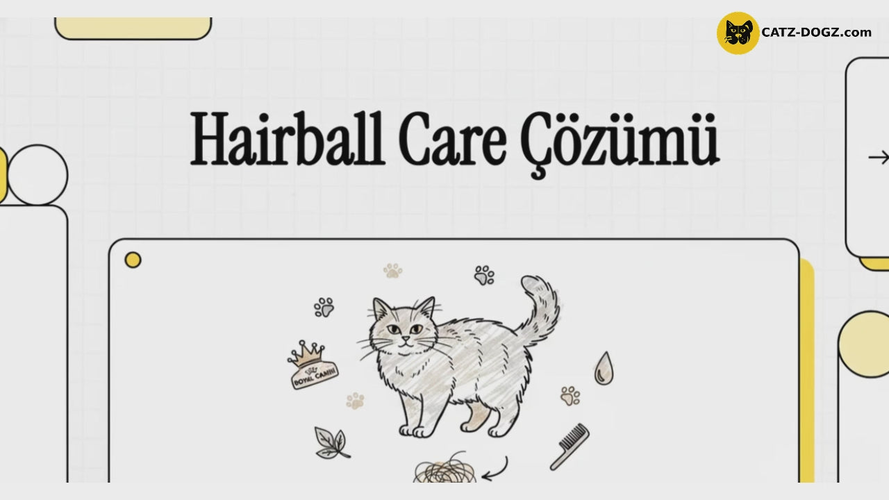 Videoyu yükle: 