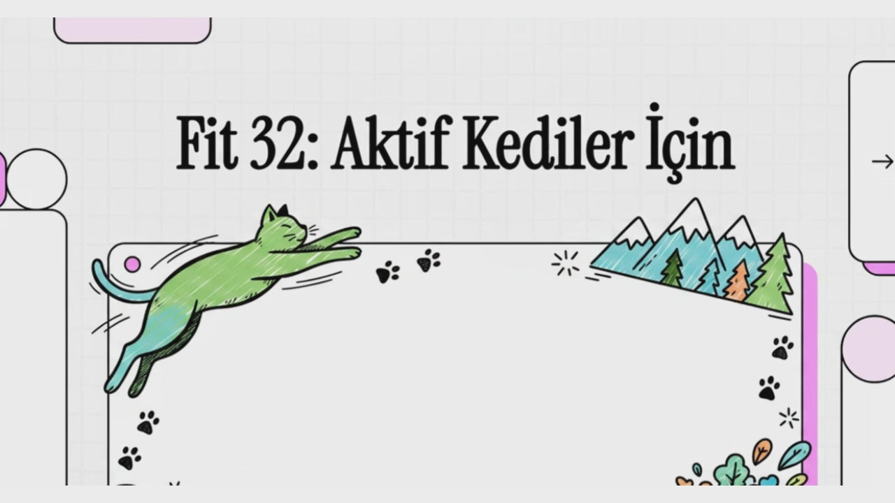 Videoyu yükle: 