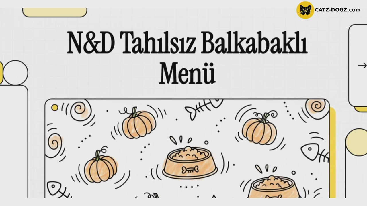 Videoyu yükle: 