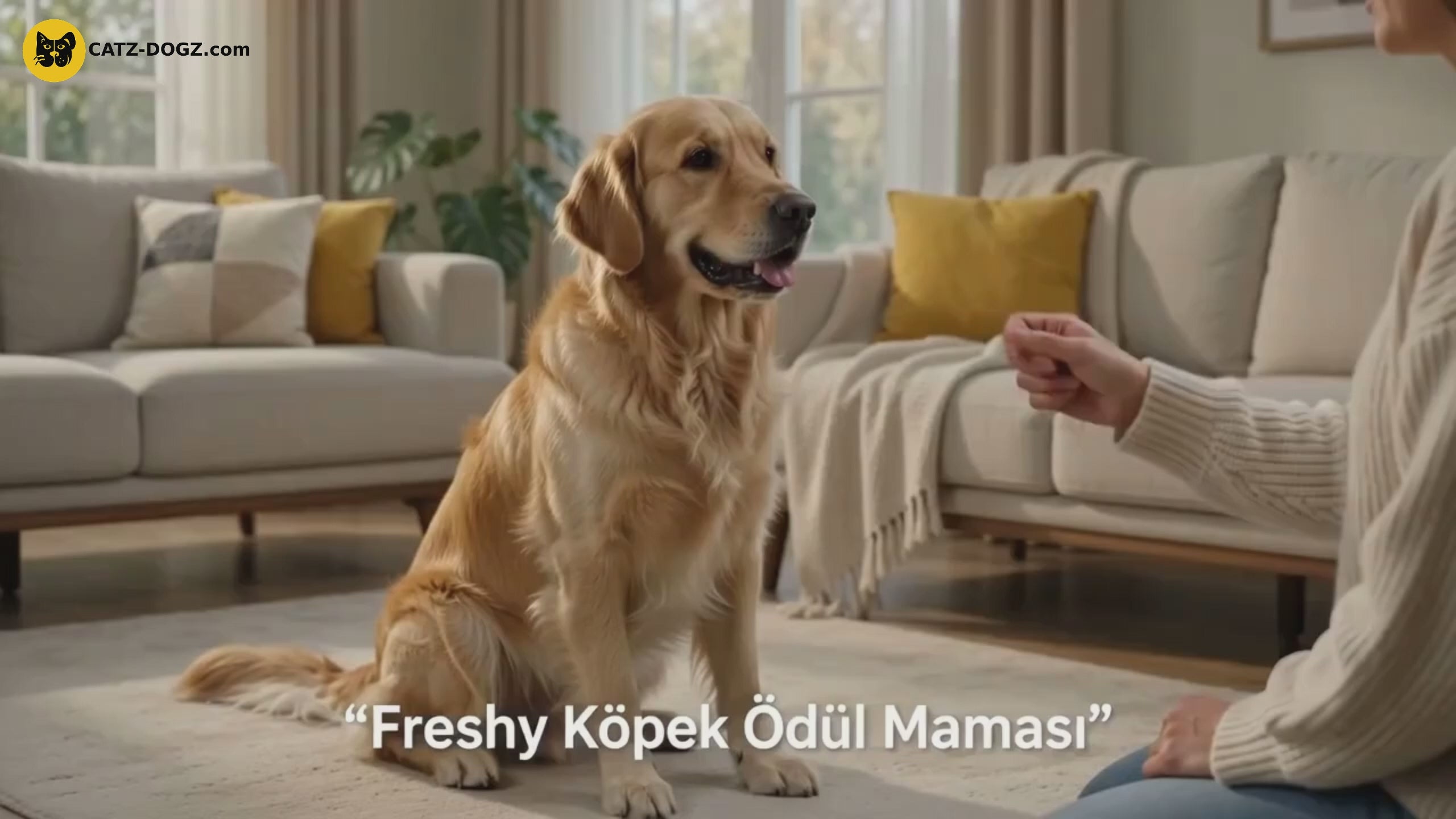 Videoyu yükle: 