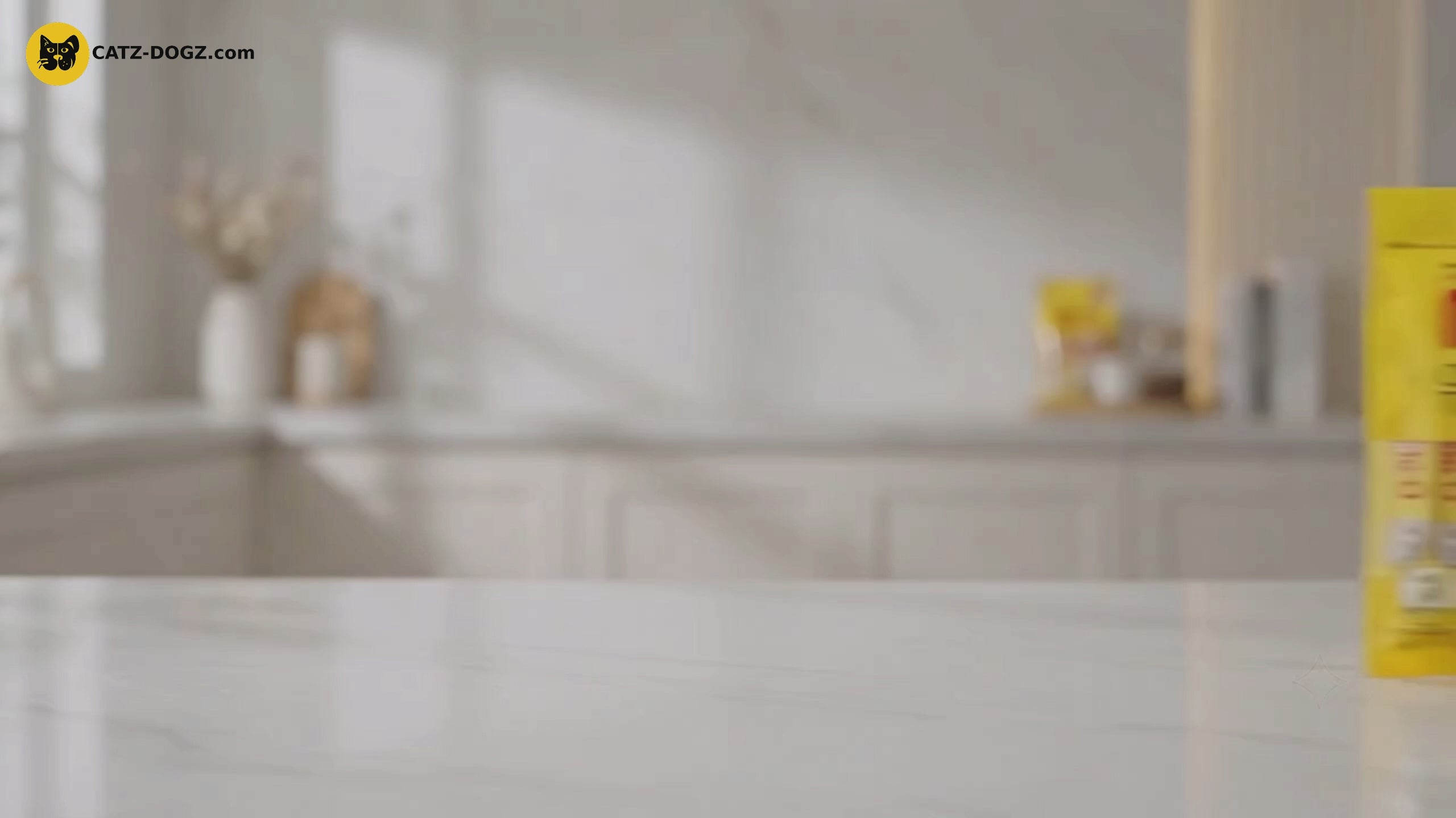 Videoyu yükle: 