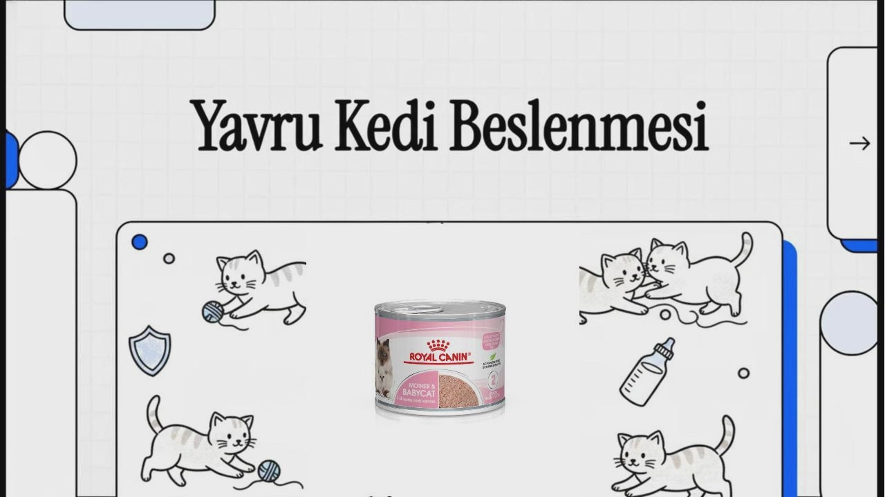 Videoyu yükle: 