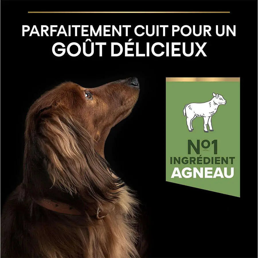 Pro Plan Sensitive Digestion Kuzu Etli Mini Yetişkin Köpek Maması