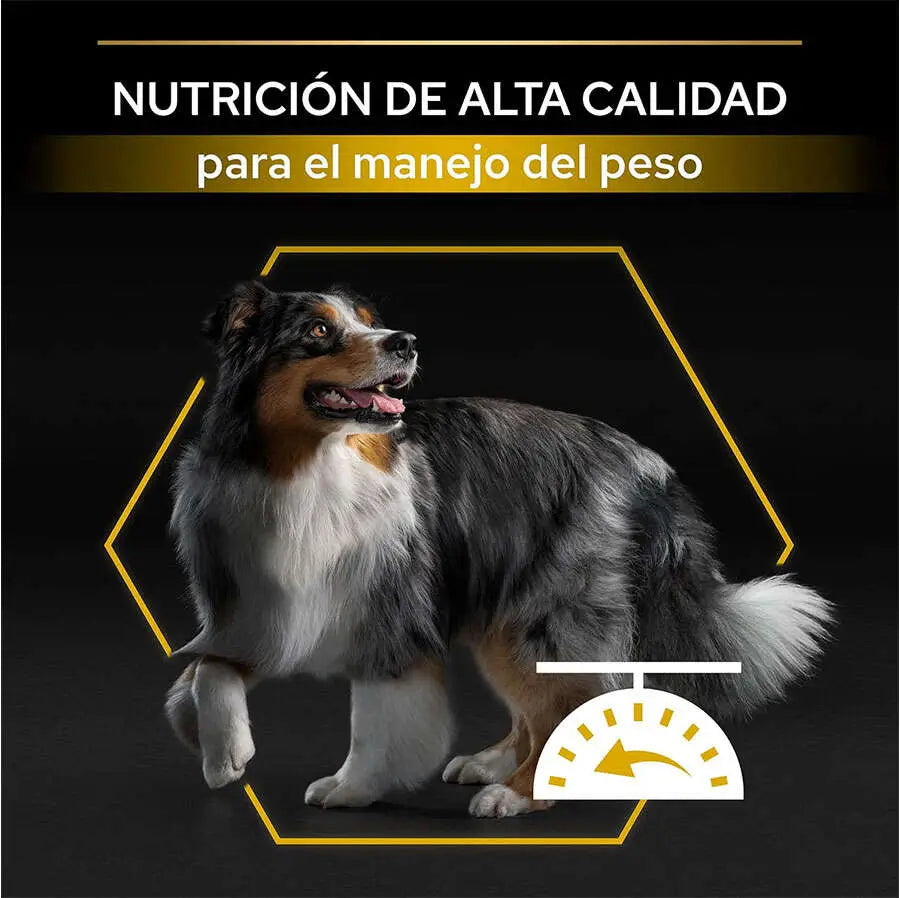 Pro Plan Light Kısırlaştırılmış Balıklı Yetişkin Köpek Maması, 14Kg