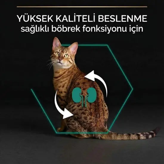Pro Plan Renal Plus Tavuklu Yetişkin Kedi Maması