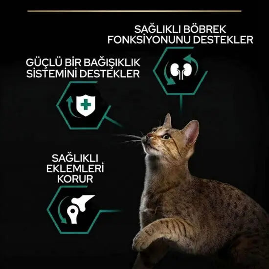 Pro Plan Renal Plus Tavuklu Yetişkin Kedi Maması