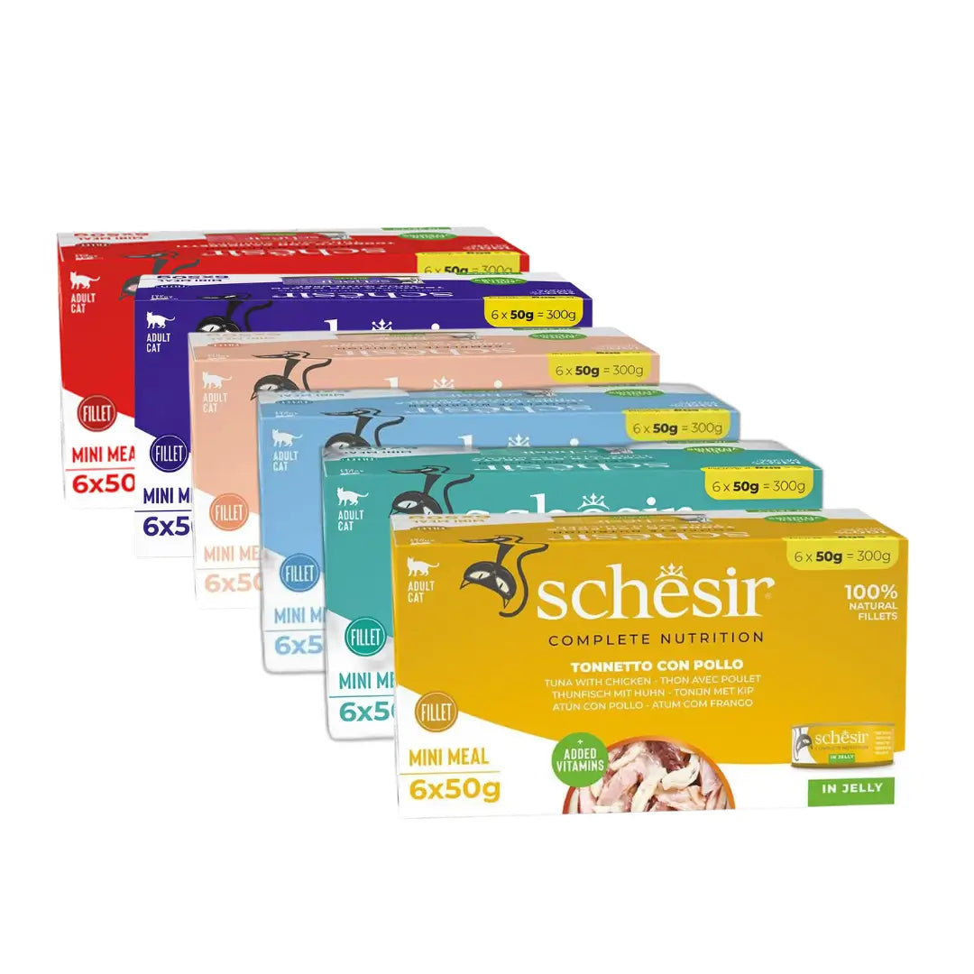 Schesir In Jelly Jöle İçinde Yetişkin Kedi Konserve Maması, 6 lı Paket, 50 g