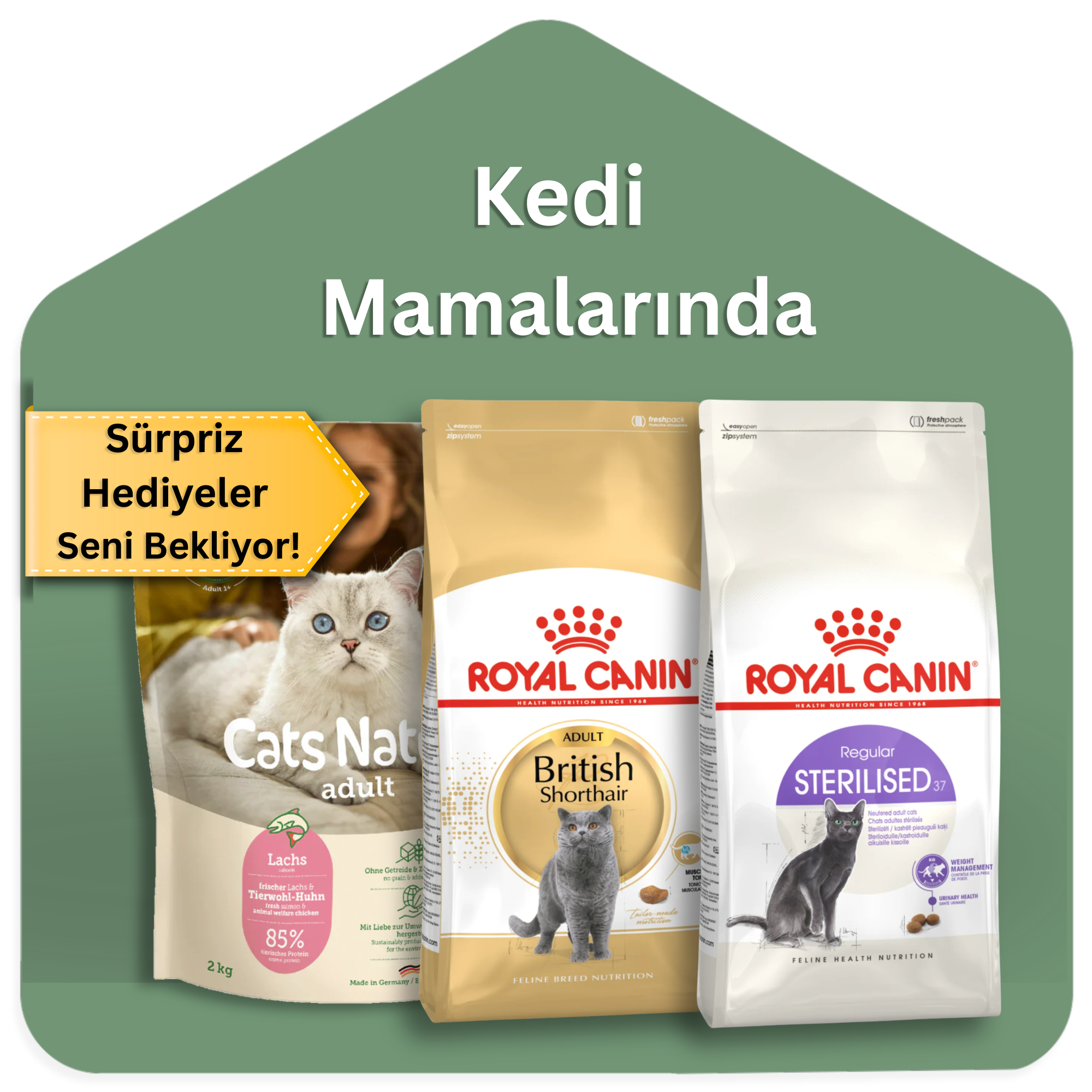 Catz & Dogz | Premium Pet Shop ve Online Pet Market